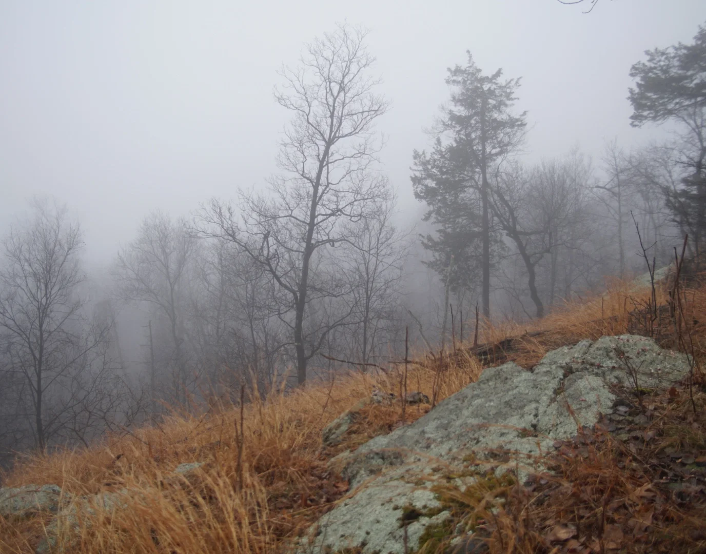 Accord Cabin — image 6 of 8